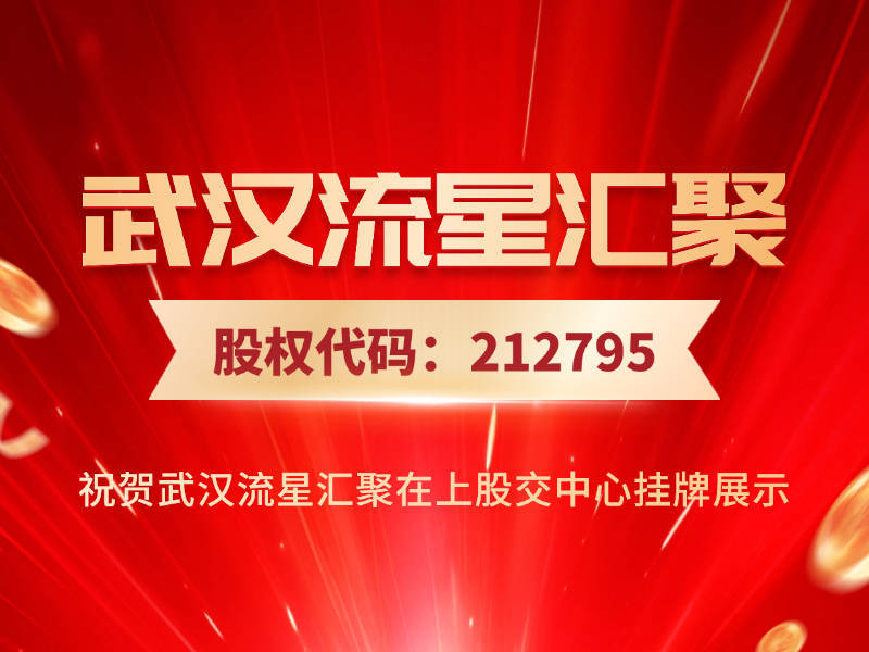 武汉流星汇聚：精准市场布局，一站式运营交付，助力跨境电商卖家