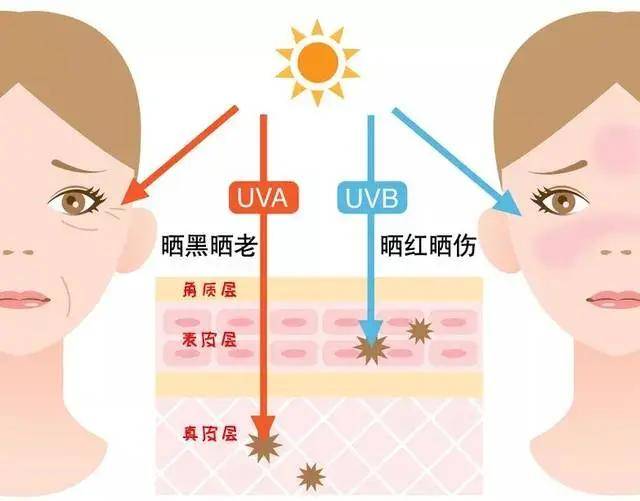 夏季竟然是乳腺疾病的高发季节？做好这4项有效预防