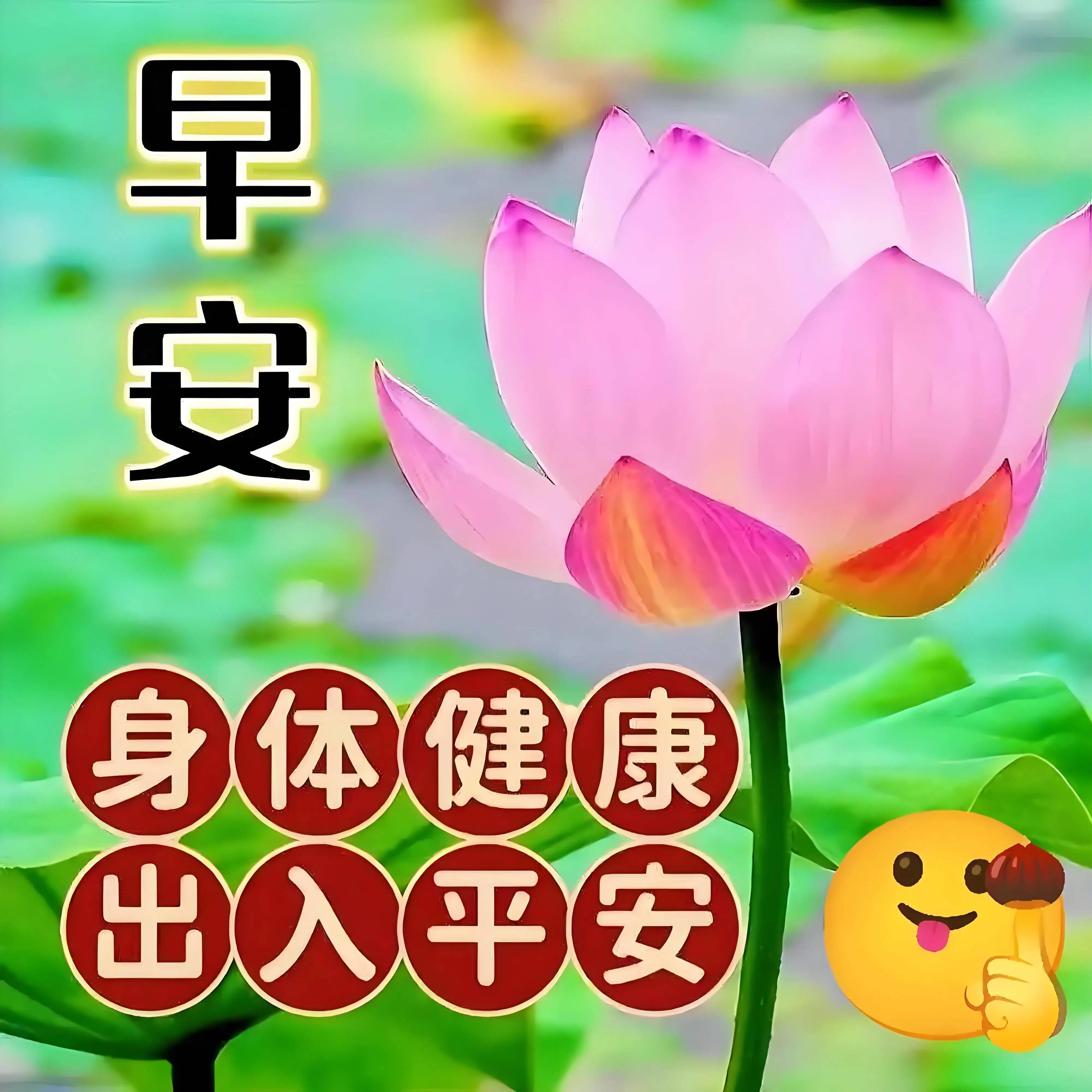 42张漂亮的早安图片早上好问候语每天不重样快收藏起来备用吧