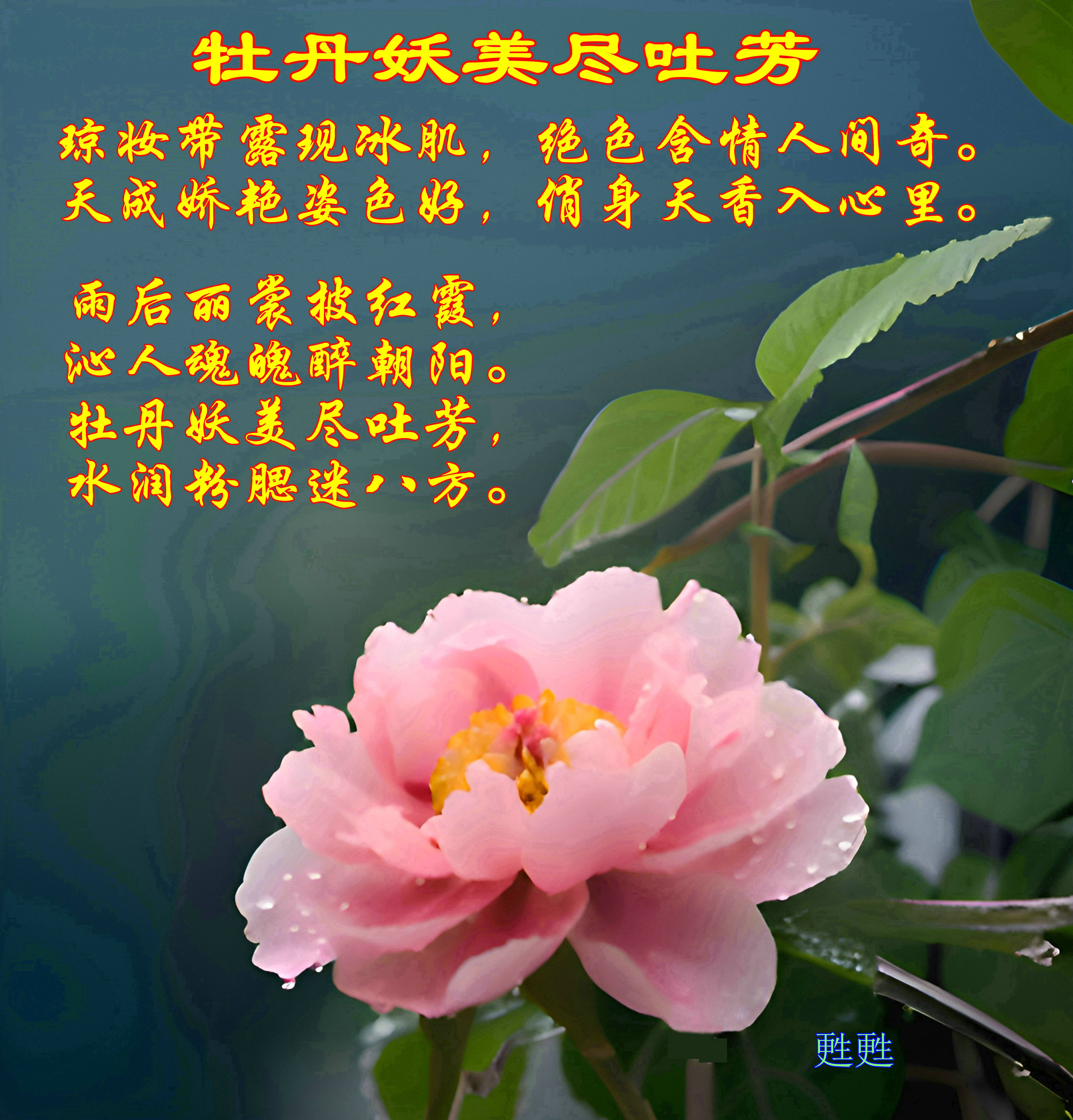 《洛阳牡丹》是一篇极具艺术性和情感深度的诗作,它通过对牡丹花的