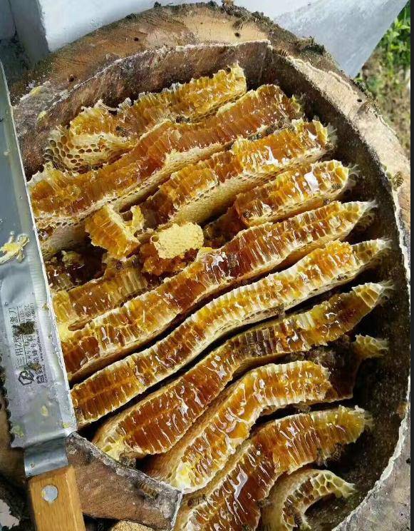 蜂糖食物与什么相克(蜂糖和什么吃最好)