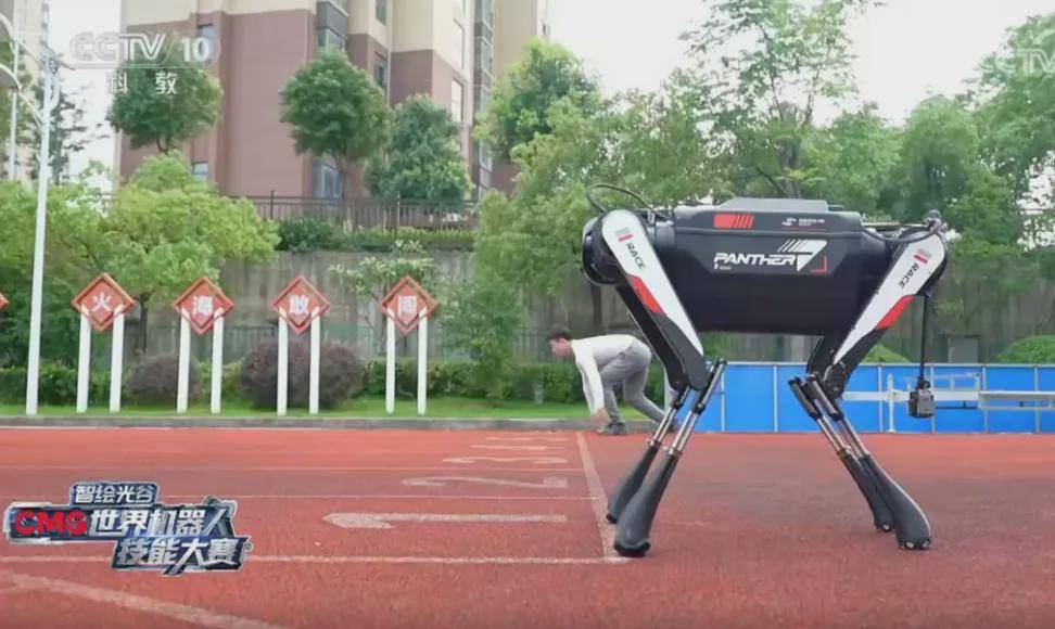 13.17秒跑完100米！全球最快四足机器人再进化