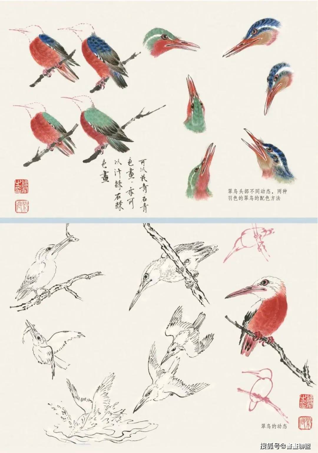 翠鸟的写意技法