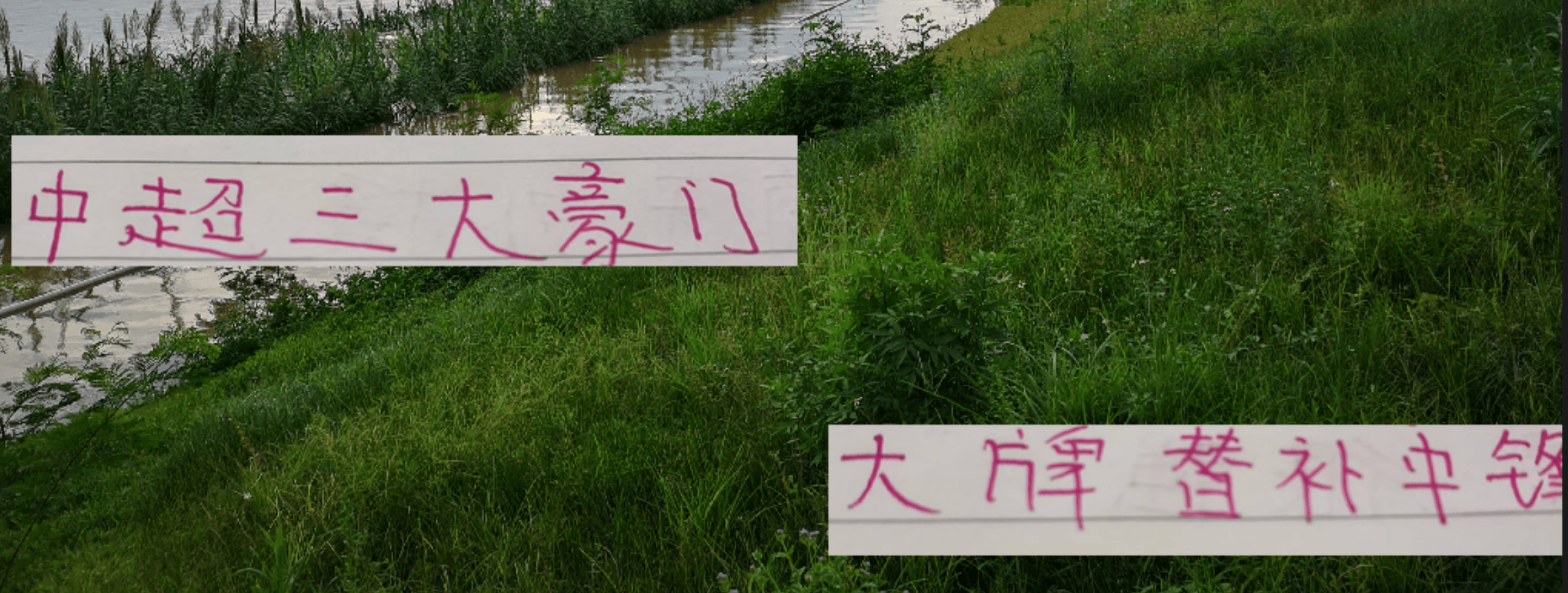 中超16轮，申花海港国安均有大牌替补，前锋实力强劲