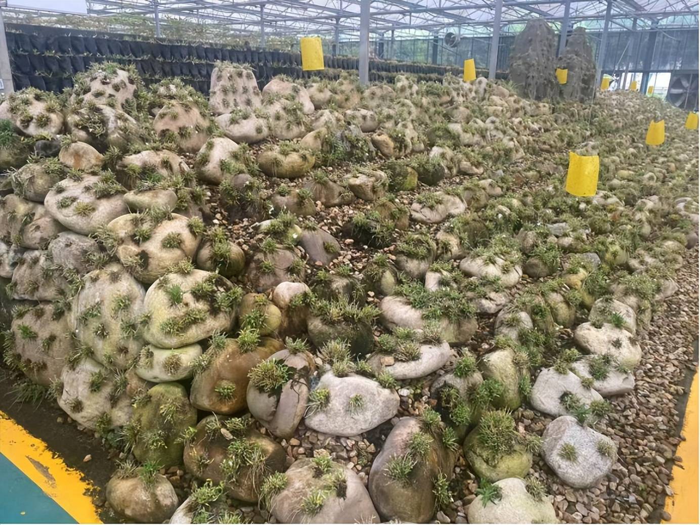 湖北省校车协会考察团六安行：交流经验，赋能校车服务升级 