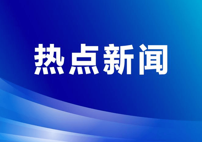 再创多个“首次”“之最”！我国脑图谱研究系列成果集中发布