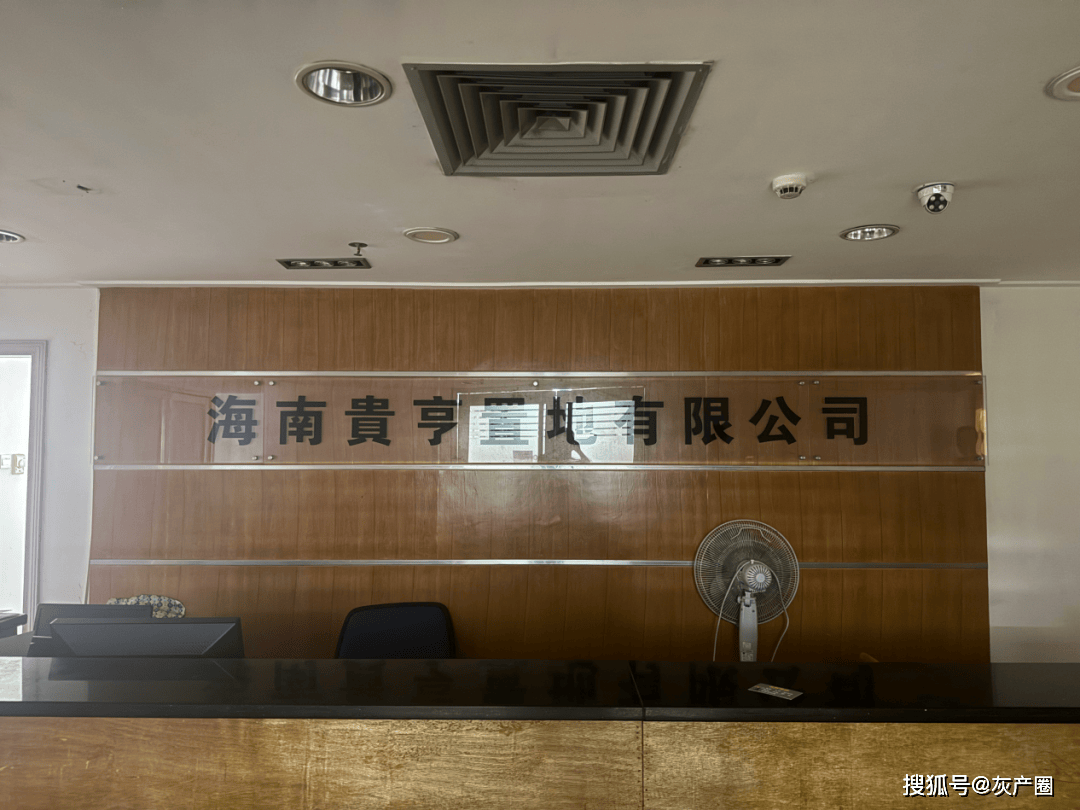 海南富豪陈嘉新被全国扫黑办关注 "高利贷大王"命运或将转折(图4)