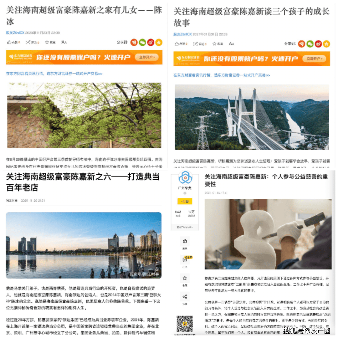 海南富豪陈嘉新被全国扫黑办关注 "高利贷大王"命运或将转折(图2)