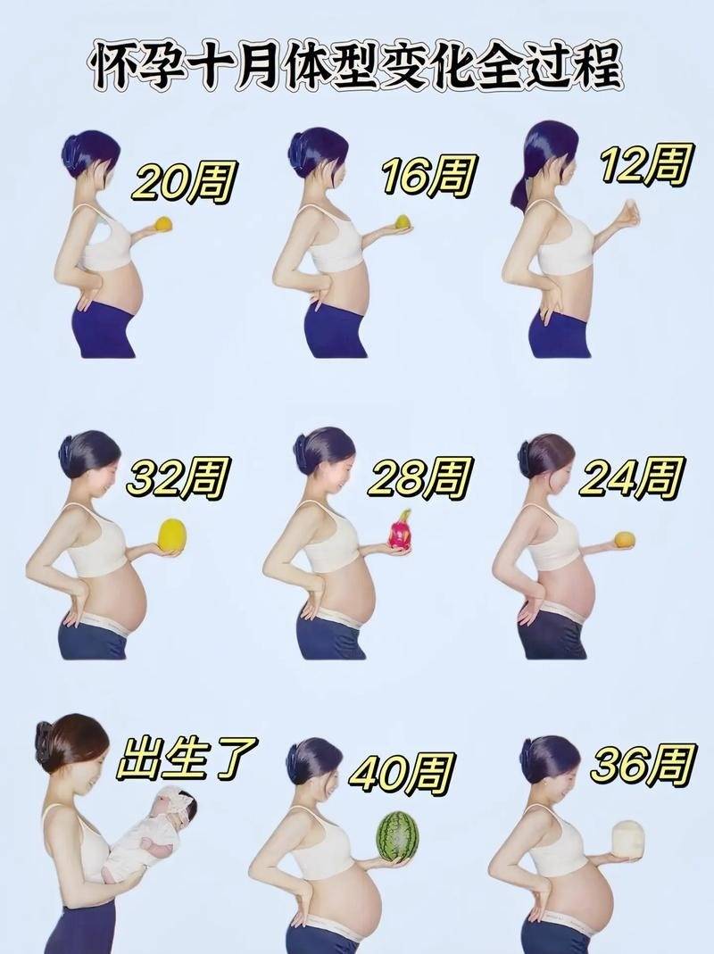 女明星怀孕为什么不显怀？孕期保持身材的方法