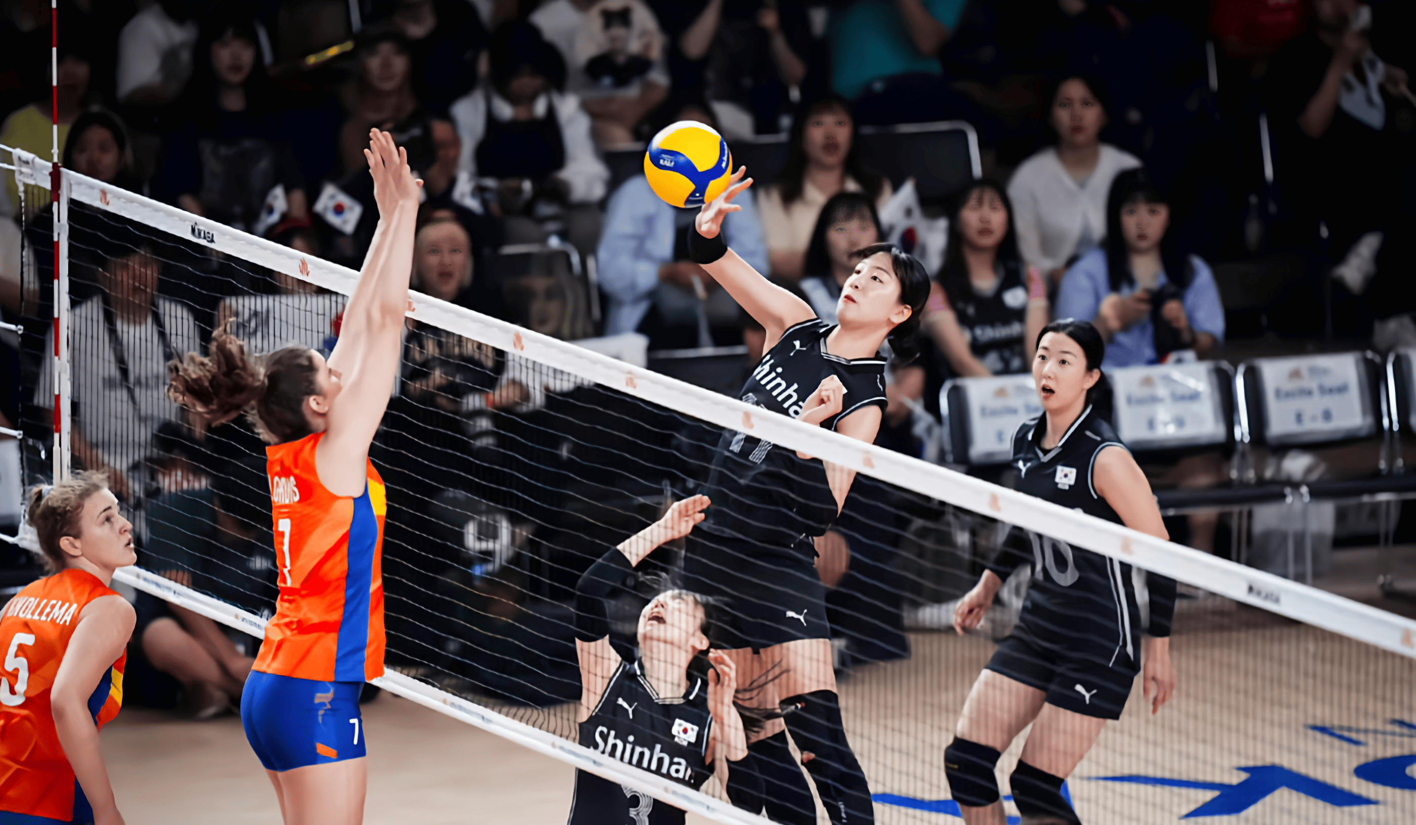 从奥运四强到被vnl开除,路在何方?