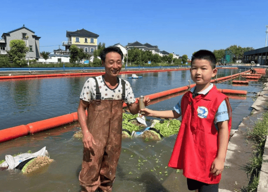 红领巾绘绿卷——益农镇少先队员暑期垃圾分类实践纪实(图4)