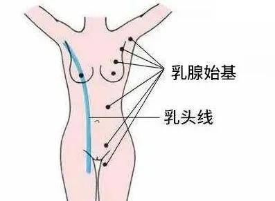 为什么有的女性会长“四个乳房”？真相竟然是它......