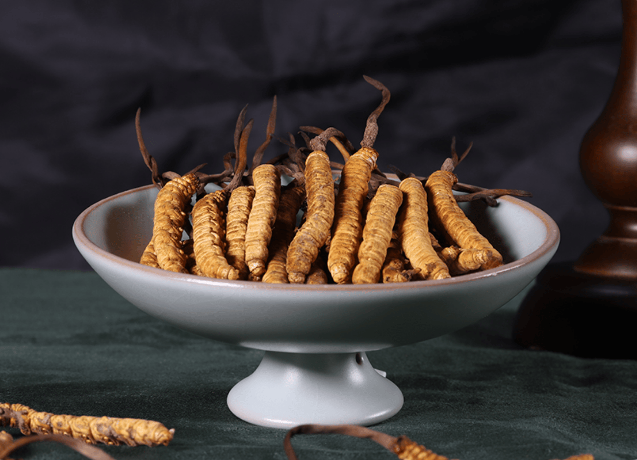 【冬虫夏草】关键词+创意+否定关键词-百度推广物料账户备份文件下载