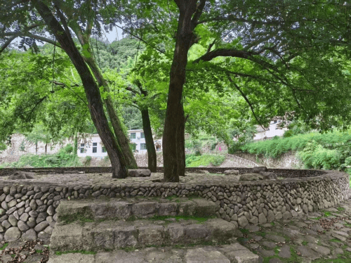 夏游记行:金岭溪(图7) 夏游记行:金岭溪(图7)