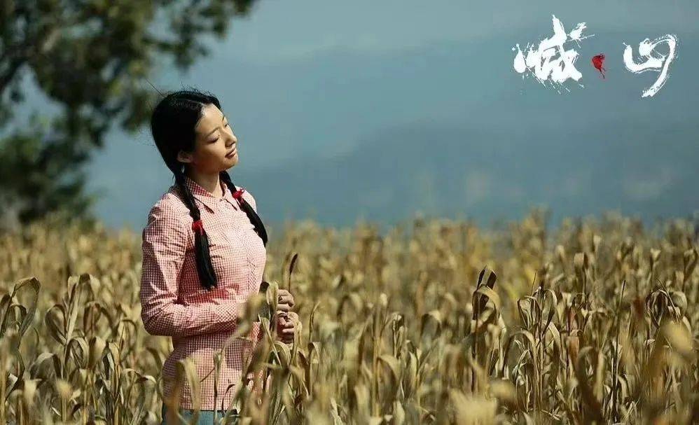 扫毒风暴:刘青从为爱沉沦到清醒绝望,郎月婷赋予了角色独特气质