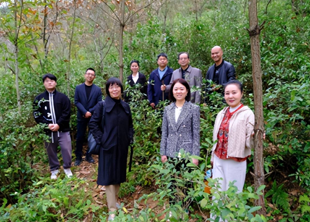 _茗冠茶叶_茗冠忠品普洱茶怎么样
