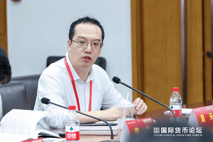 2025国际货币论坛主题论坛一成功举办 聚焦“地缘经济风险前沿研究成果”(图5)