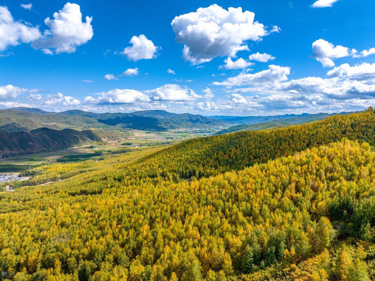 9月中旬-10月初乌兰布统 塞罕坝03室韦与莫尔道嘎之间的路很美,秋天的