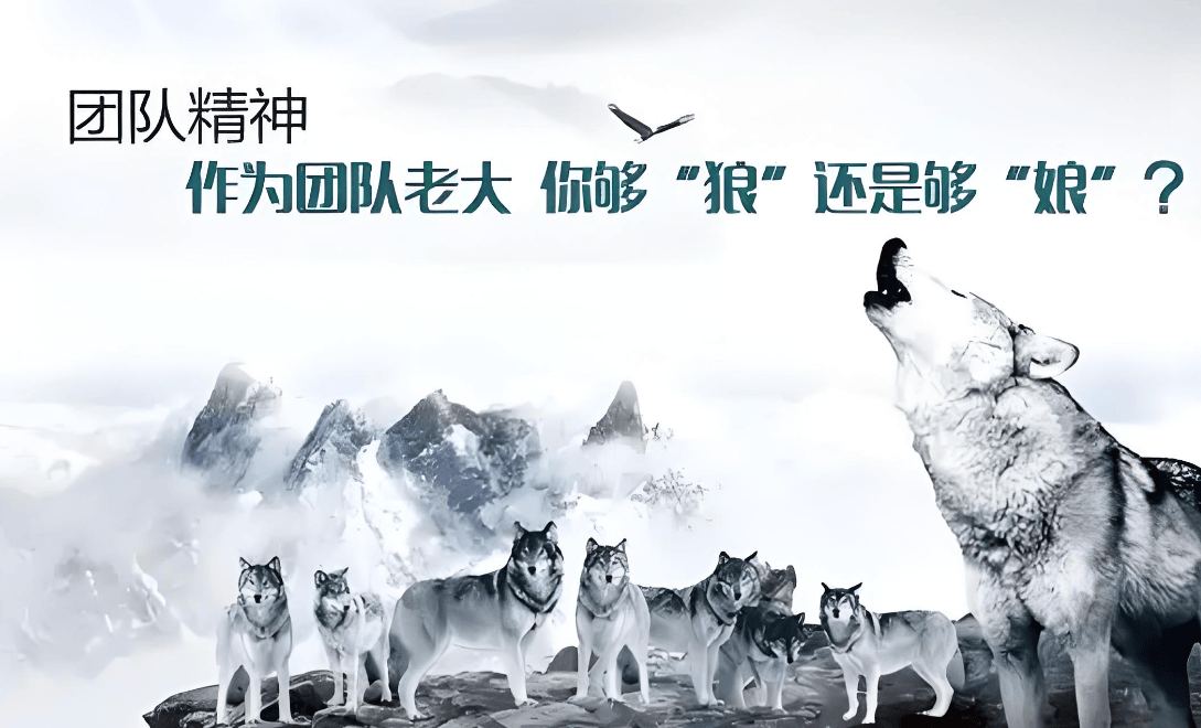 图片[7]-中小企业管理者如何培育团队精神？-中小企实战运营与营销工作室