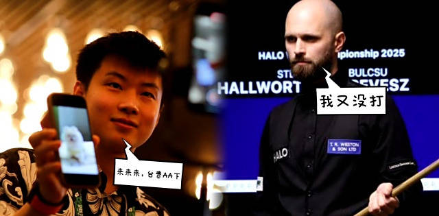 赵心童再次碰上韦克林，丁俊晖定律或成冠军关键