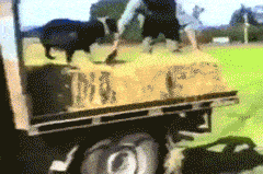 搞笑GIF：这姐路人视角长这样啊，真的惊艳了路人!