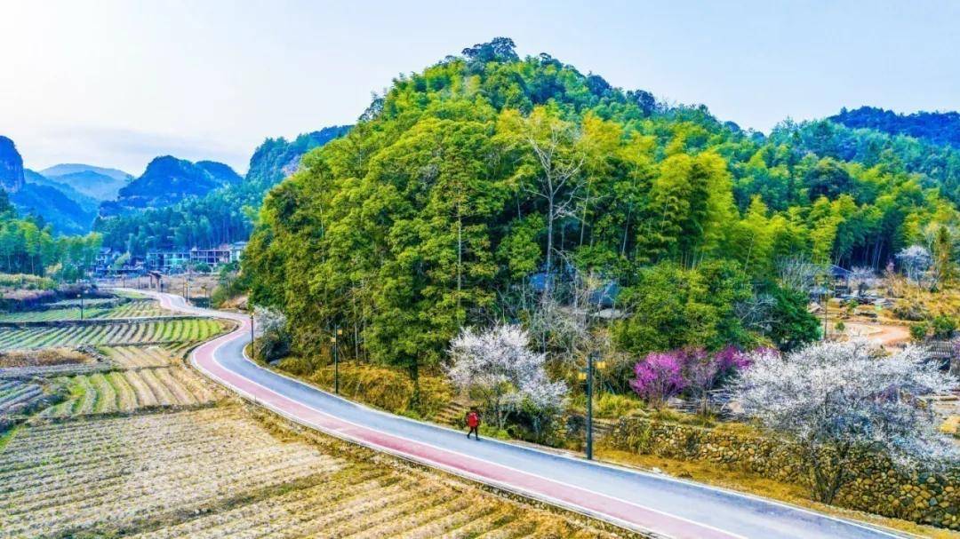 福建际溪村“生态文创”乡村振兴案例研究_搜狐网