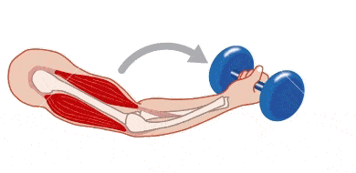 运动真能降压,但只有这种只需十几分钟的运动才能显著降低血压