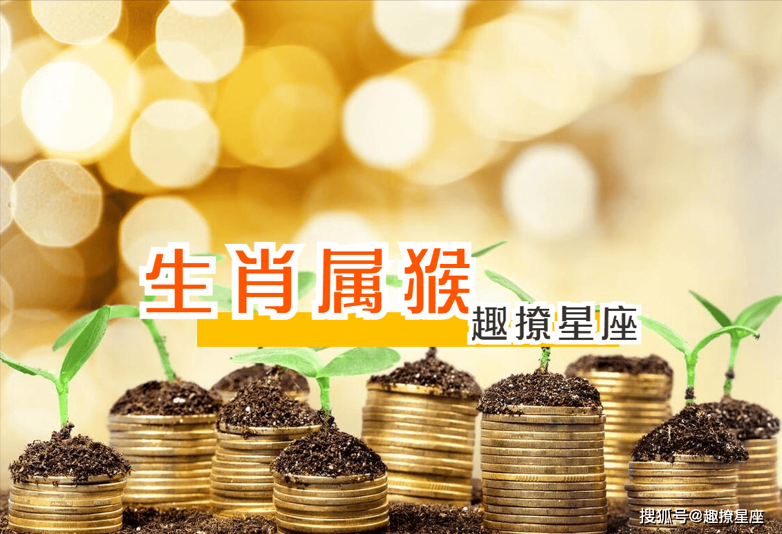 下周生肖运势排名(下周生肖运势排名查询)