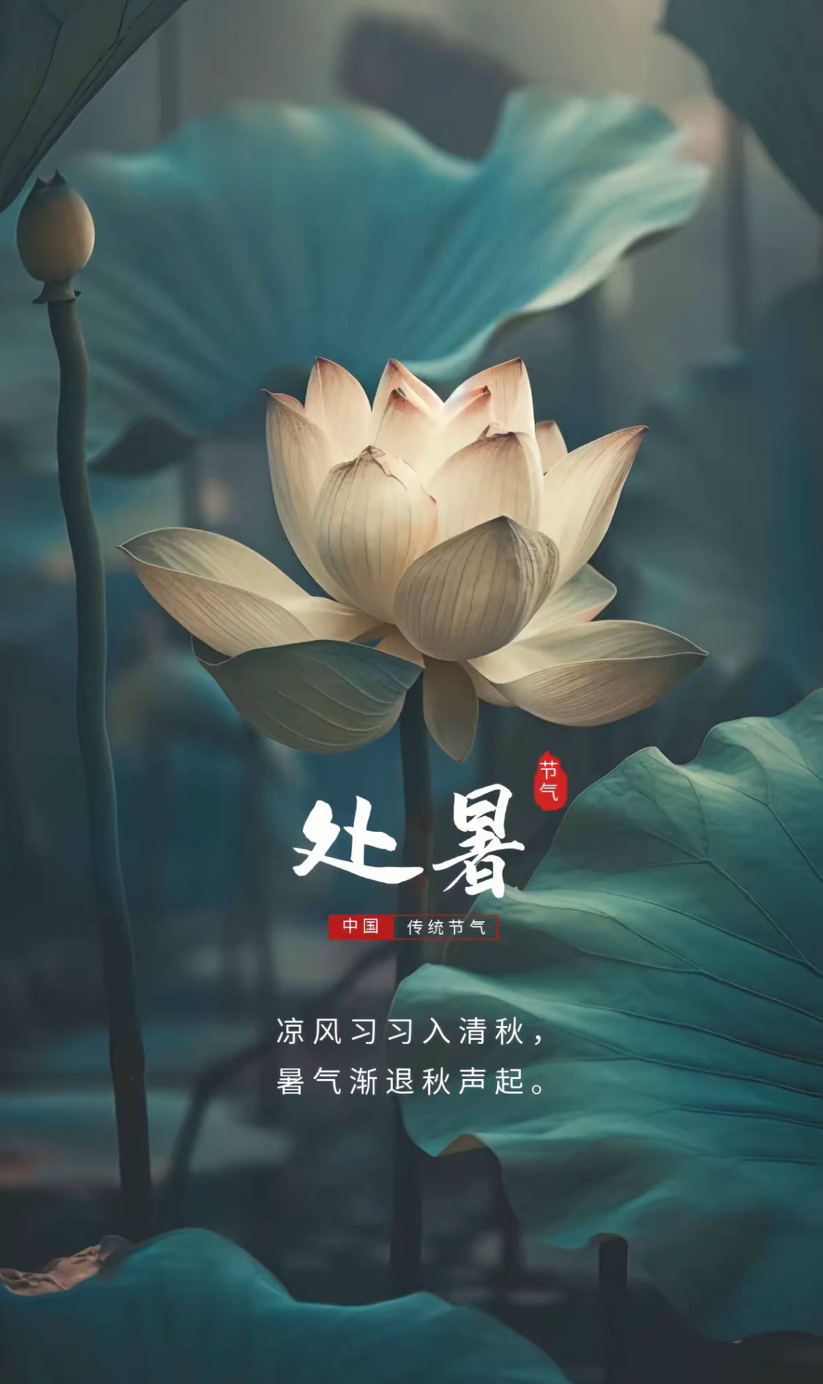 二十四节气处暑 ,文案素材分享!