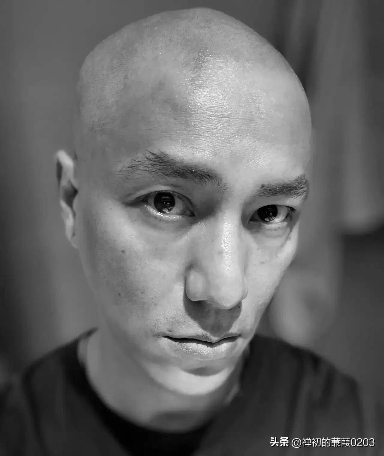 49岁陈坤光头很离谱?这部新电影将用实力打脸烂片