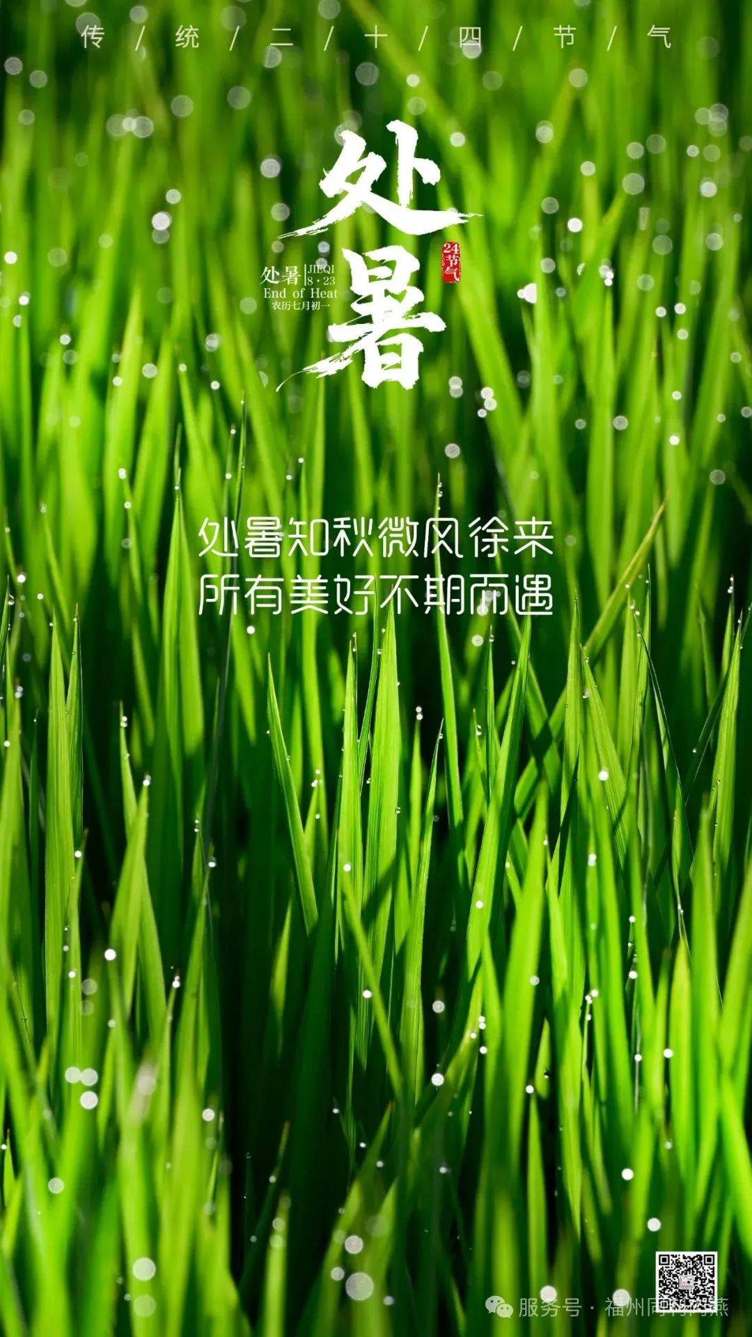 同利杯美食摄影大赛二十四节气处暑图片作品选登来啦