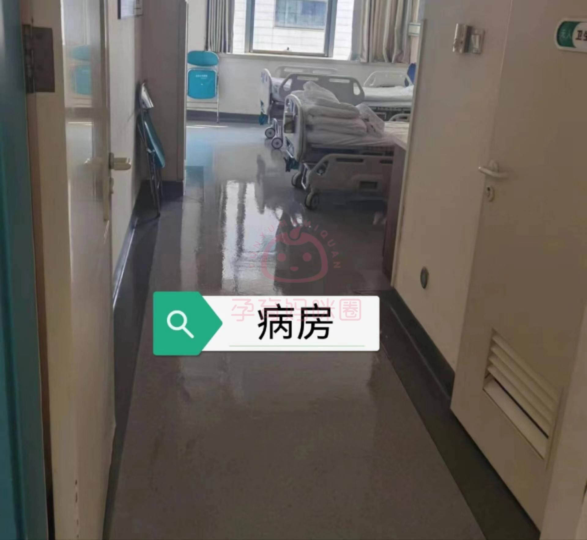 301医院检查陪护加挂号住院登记咨询的简单介绍