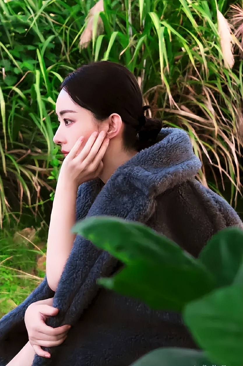 赵丽颖侧颜杀来袭,网友直呼:这颜值,我先舔为敬!