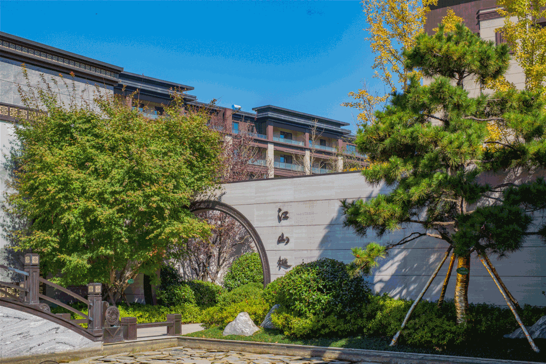 楼市热搜焦点:青岛康大江山樾售楼处电话→青岛康大江山樾热搜24小时