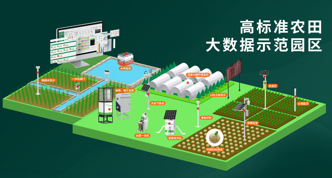 智慧农业解决方案：避免误区，迈向现代农业