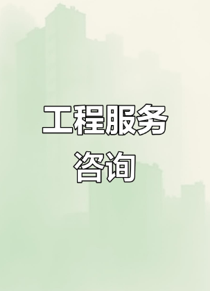 专业咨询服务