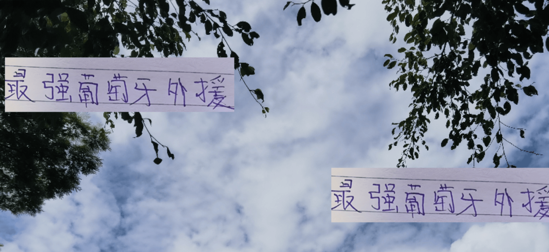 中超最强葡萄牙外援之争：哈达斯领跑，特谢拉与古加紧随其后