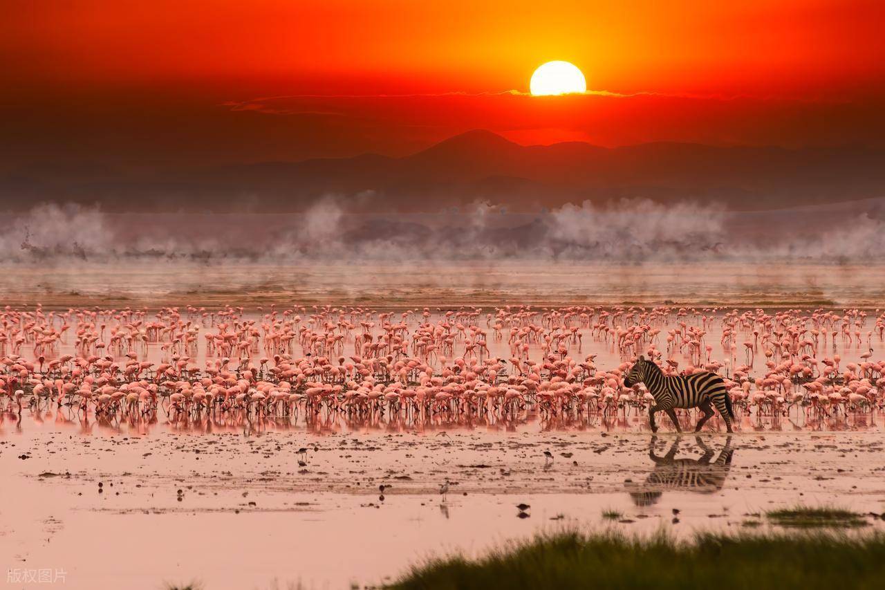 图片[3]-月入3万，这届年轻人正在非洲疯狂搞钱！ -华闻时空