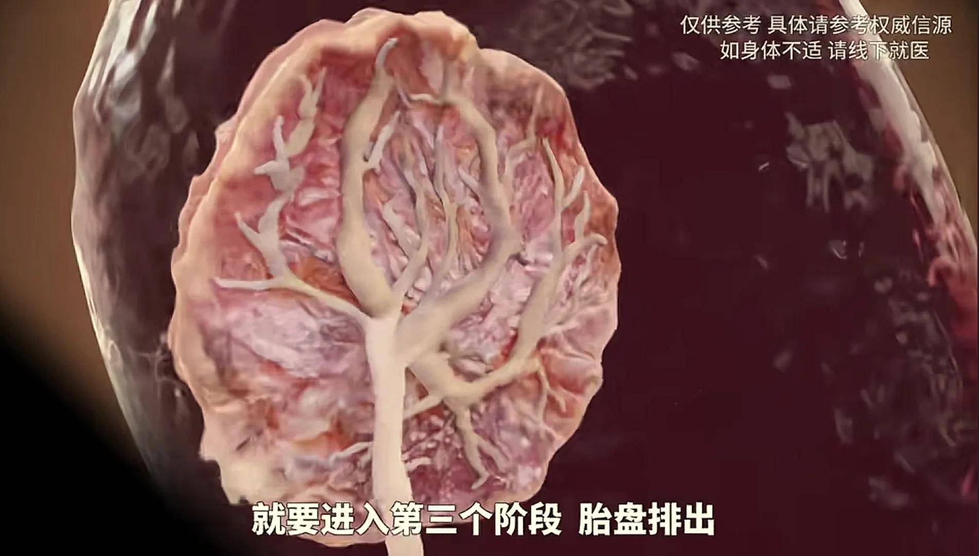 顺产全过程模拟,隔着屏幕都感觉疼,感恩伟大的妈妈