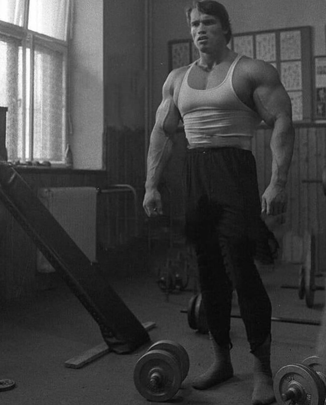 眉毛胡子全白了,很有慈祥感