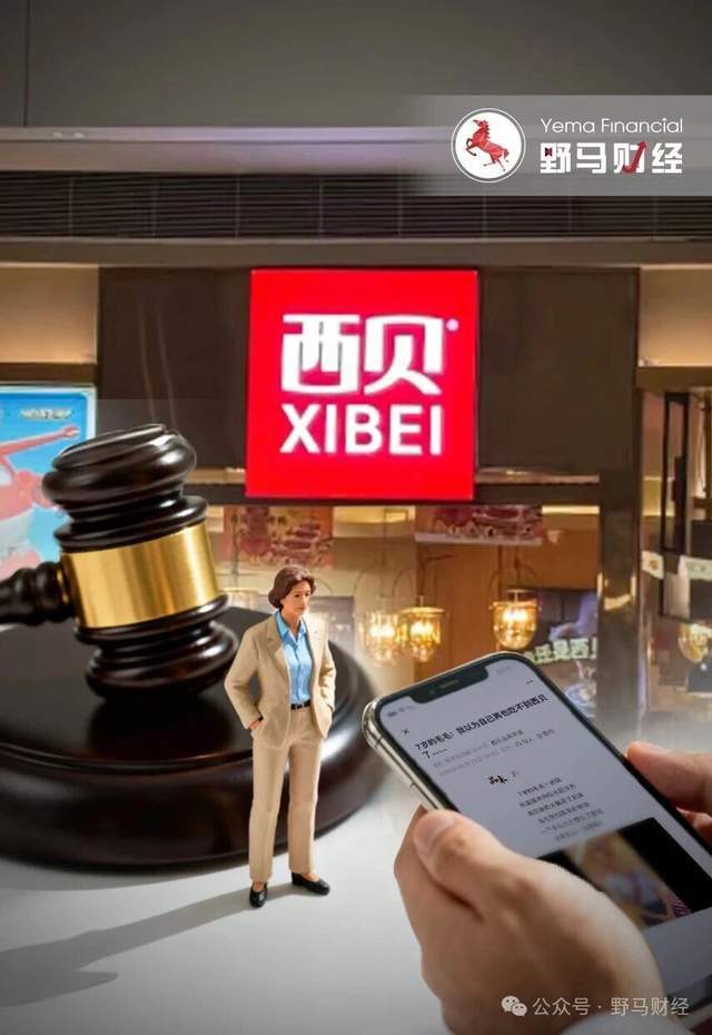要求张Yimou接受748万元被指控Xibei的罚款的律师！