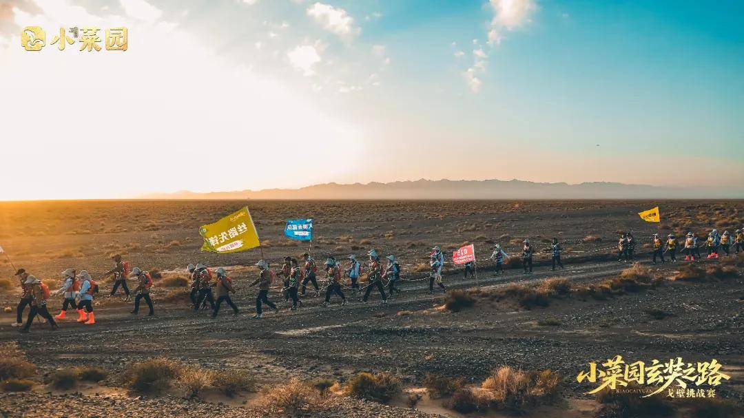 荣耀凯旋 | 小菜园玄奘之旅戈壁挑战赛圆满收官！