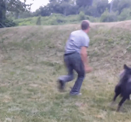 搞笑GIF：姑娘，你在这39°的天气穿裙子骑共享电动车，会不会有点？