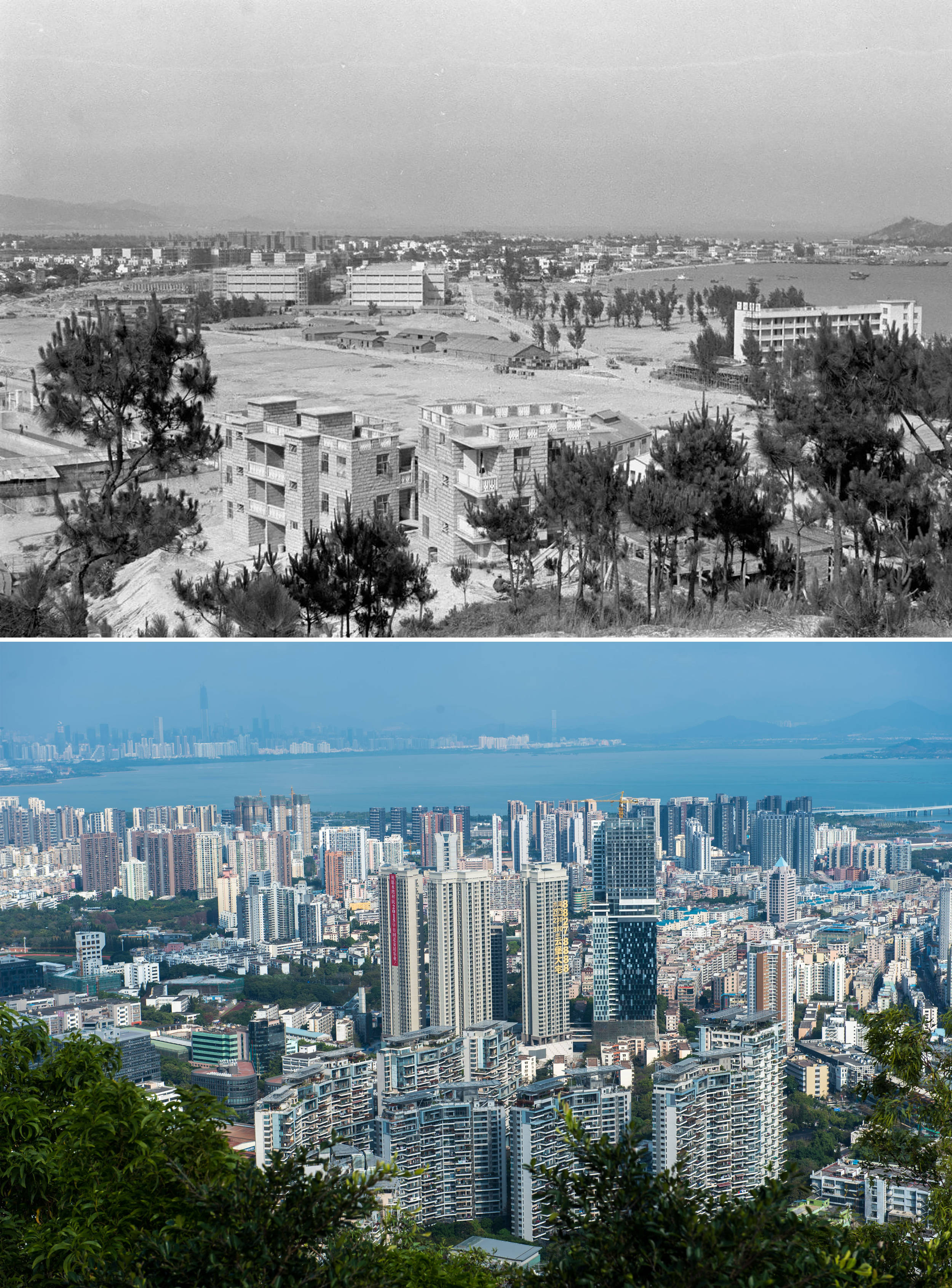 1978年开始的"改革开放":改革了什么?又开放了什么?
