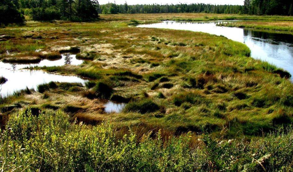 80多年过去了,当年红军长征时那"吃人"的草地,如今怎么样