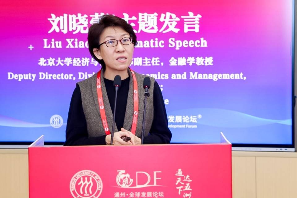通州·全球发展论坛分论坛三隆重举行，专家热议全球资本市场发展新格局(图6)