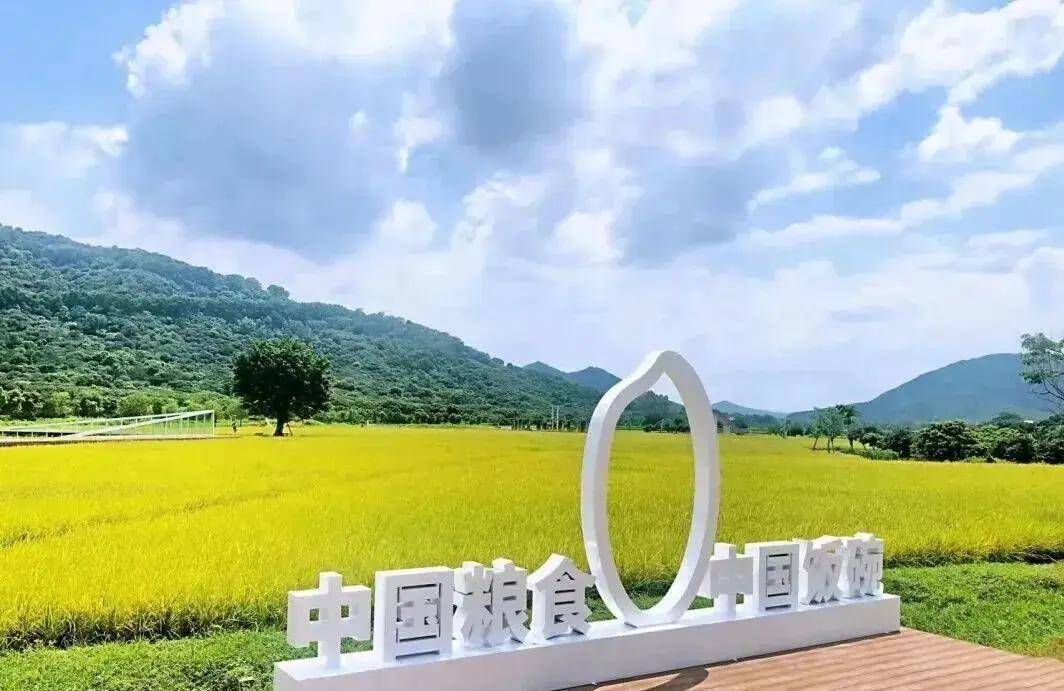 【广州三大秋色】11月15日丨上罗千亩柿子海+艾米稻香小镇+罗洞工匠小镇