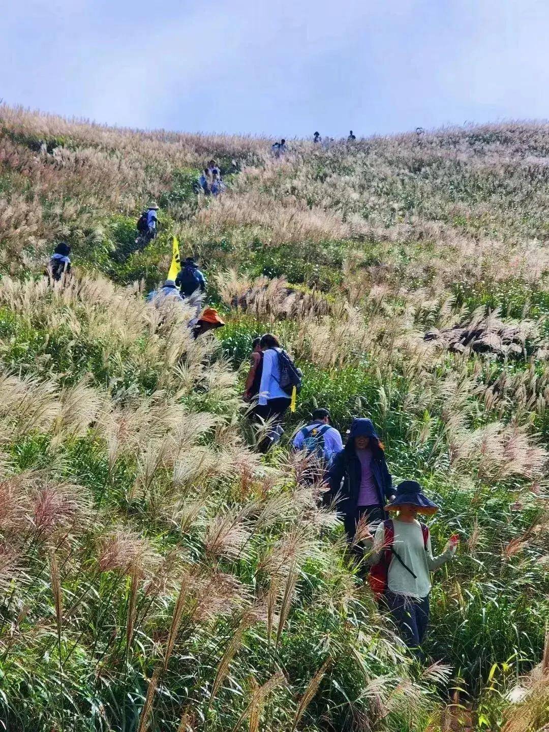 【大南山】11.13丨广东“小武功山”，大南山精华段穿越，邂逅最美云中草原