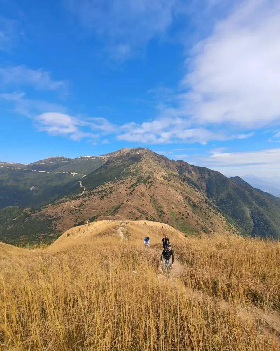 【大南山】11.13丨广东“小武功山”，大南山精华段穿越，邂逅最美云中草原