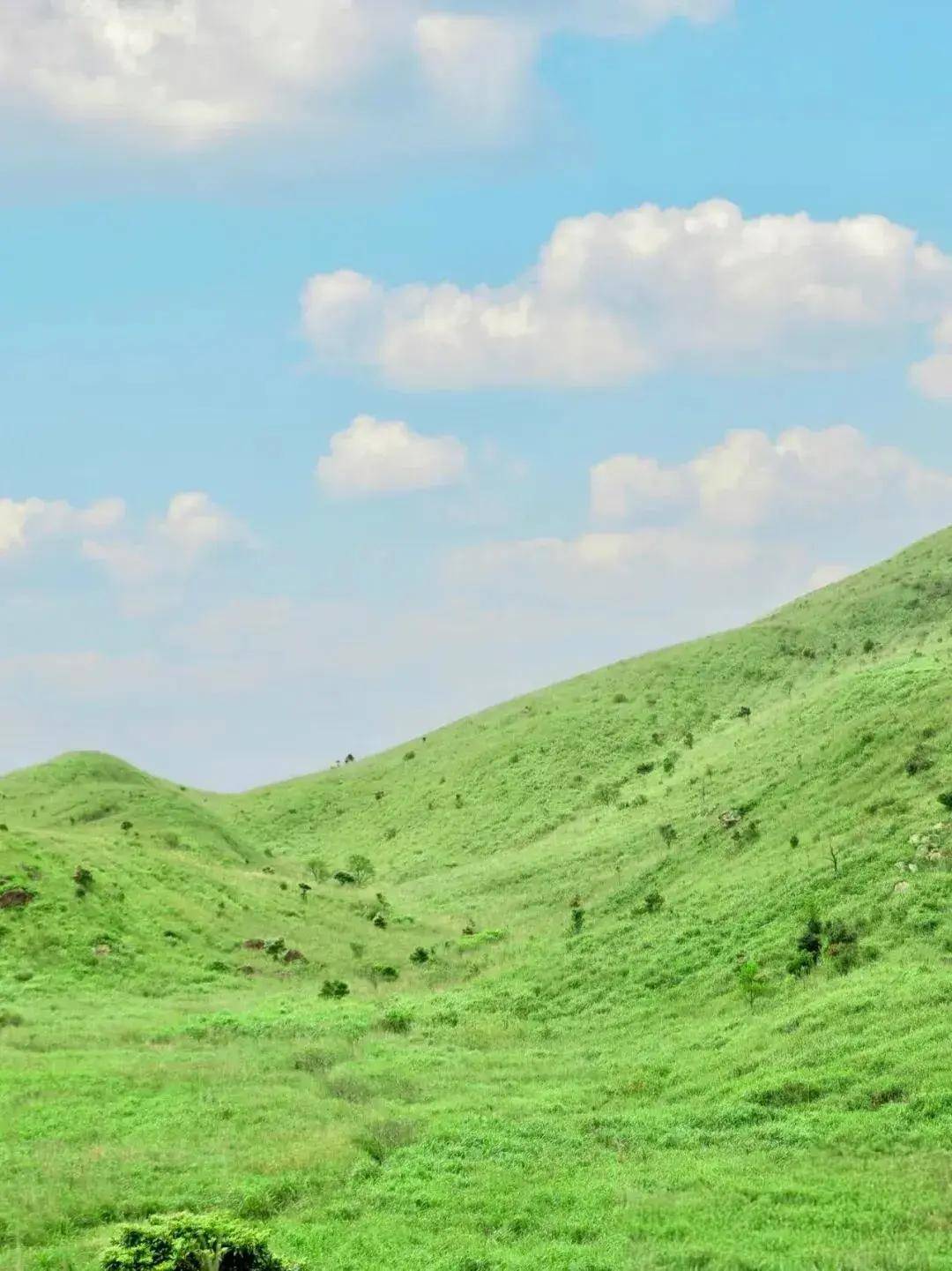 【大南山】11.13丨广东“小武功山”，大南山精华段穿越，邂逅最美云中草原